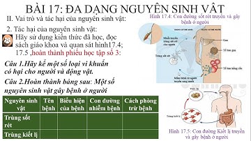 BÀI 17 ĐA DẠNG NGUYÊN SINH VẬT (KHTN6 CÁNH DIỀU)