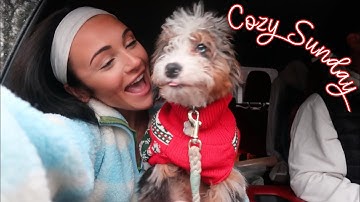 VLOGMAS 11 | spend a cozy Sunday with us! Cleaning, Christmas market + haul, first successful loaf