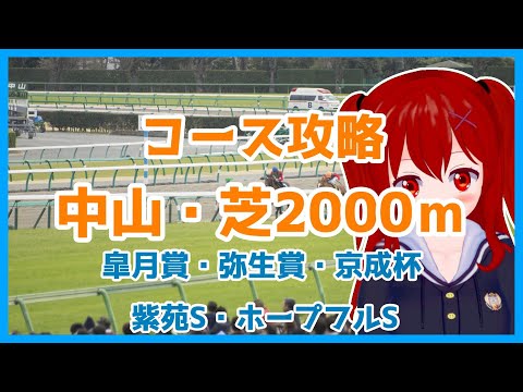 【5分でわかるコース攻略！】中山競馬場・芝2000ｍ【京成杯】