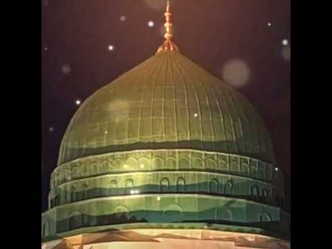 يابحر فضل وتاج عدل جدل لي بوصل قبل المني ة