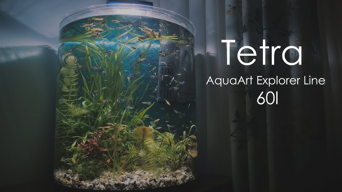 Tetra AquaArt LED Explorer Line White Edition 2 - YouTube
