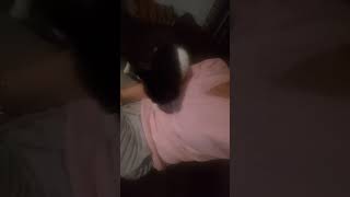 Kartalın Sevgi Masajı