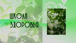Осенняя диета для похудения: отзывы Осенняя диета для похудения: отзывы