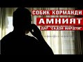 Асрори дохилро аз худи онҳо бишнавед!