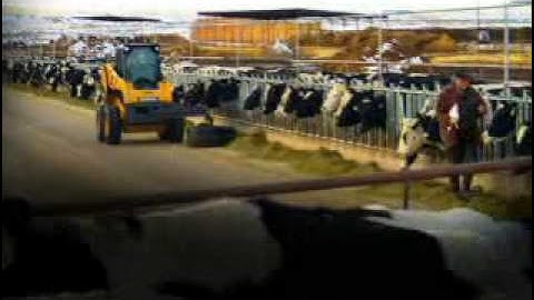 C-Series Skid Steer and Multi Terrain Loaders from NMC Cat