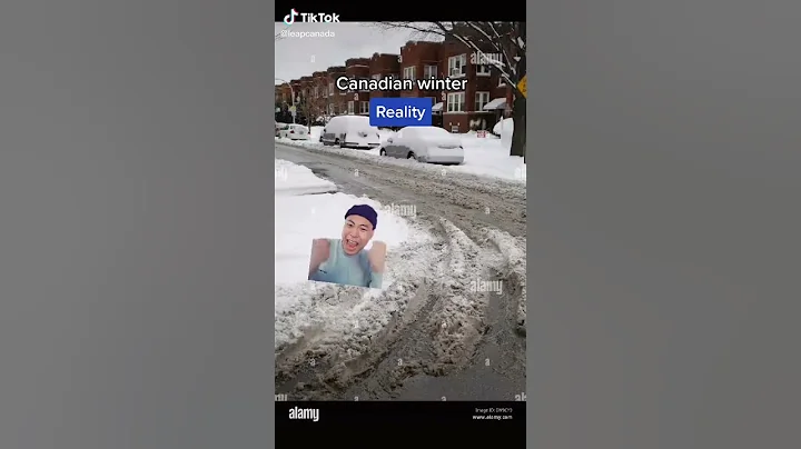 Winters in Canada Be Like... | #Shorts