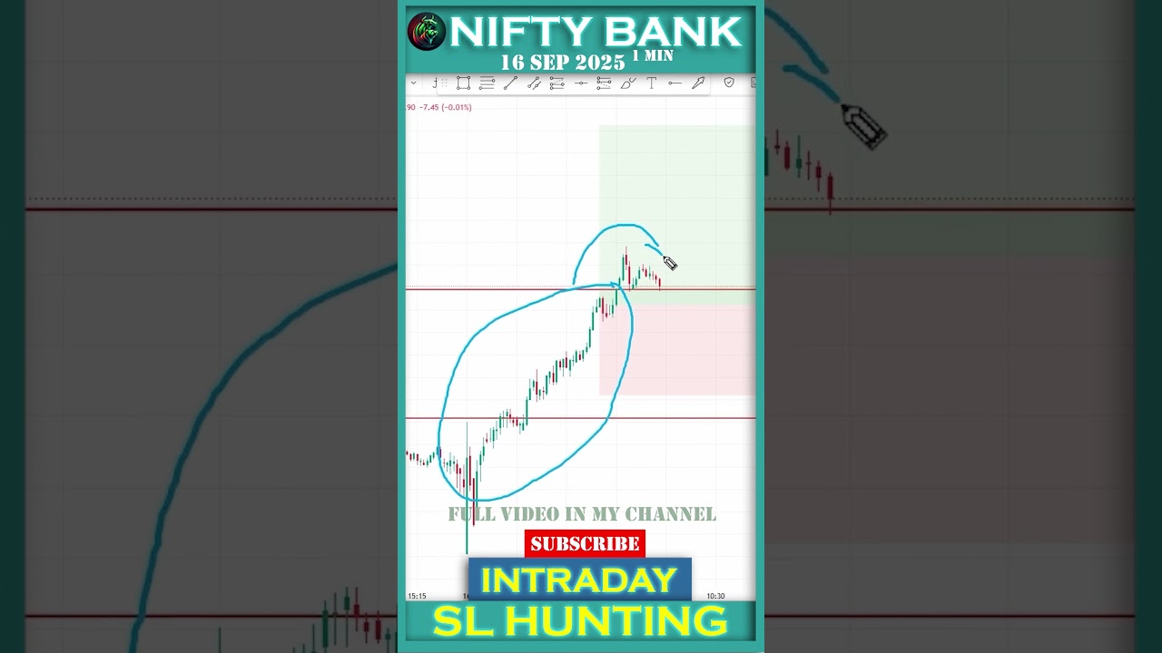 PURE STOPLOSS HUNTING CONCEPT 