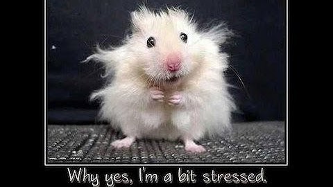 Information Overload | Avoid Information Overload