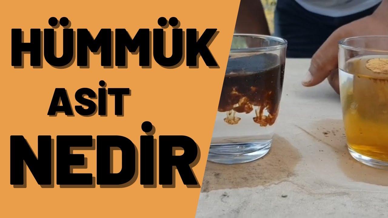 Hümmükasit nedir, nasıl kullanılır ? Fulvikasit nedir ? #avokado #tropikaltoprakalanya #hümmükasit