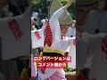 阿波踊り　阿呆連