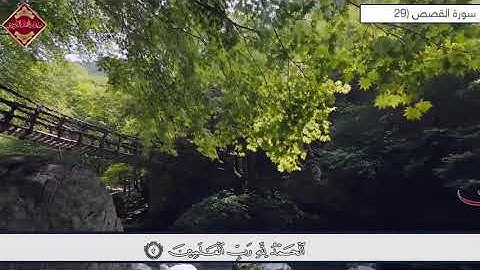 بكاء الشيخ رعد الكردي " بتلاوتهِ ما تيسر من سورة القصص ` تلاوة خاشعة مبكية رمضان مسجد الامام الشافعي