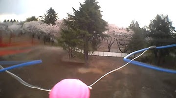 Crius All In one pro v2 acro flight loop flip