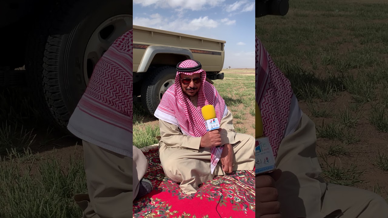 مرباع إبل قبيلة ولد محمد من حرب شمال منطقة المدينة المنورة - السليله ‏