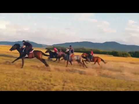 Freedom ( ნიკოლოზ ბარათაშვილი\"მერანი\". )