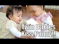 Twin Babies Kiss Puppy!! - May 02, 2015 -  ItsJudysLife Vlogs