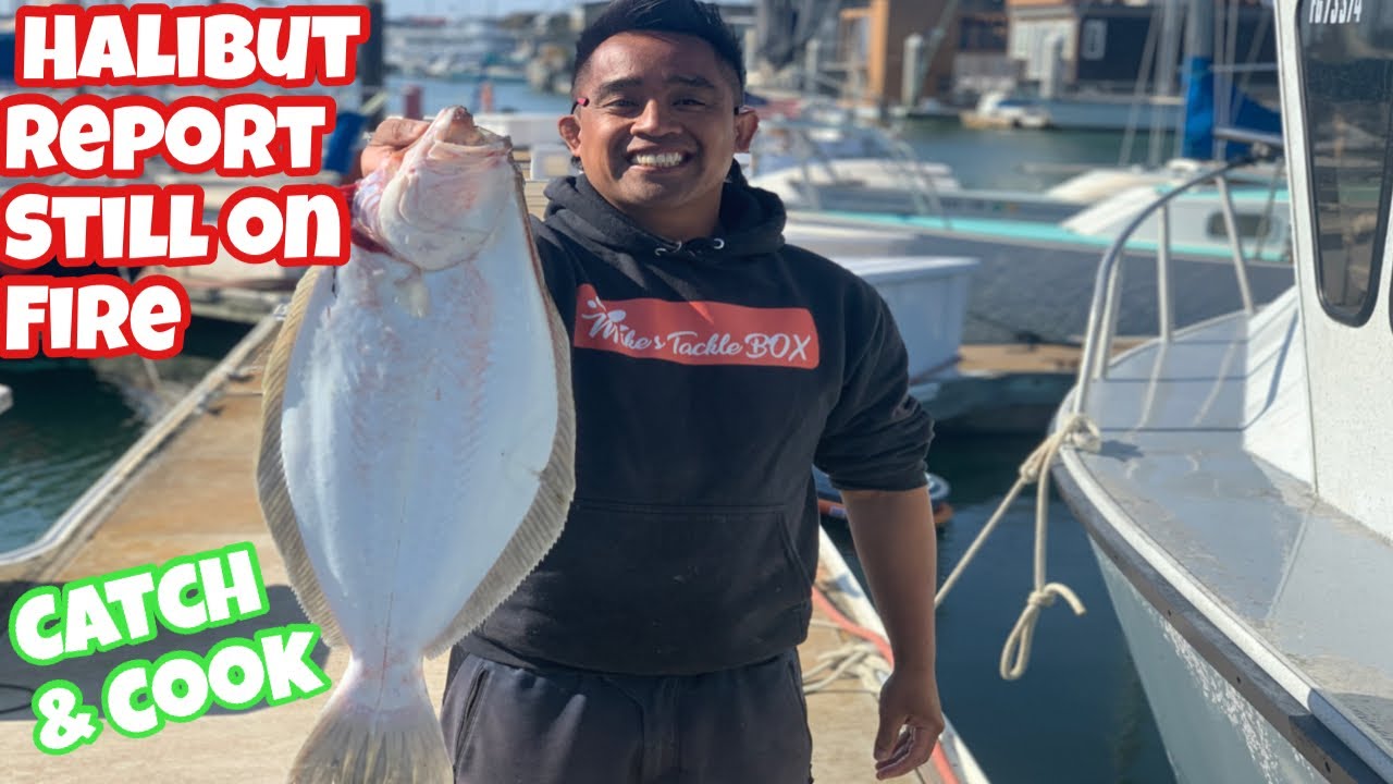 SF Bay area Halibut Fishing (still on fire) 