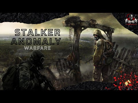 S.T.A.L.K.E.R. Anomaly - WARFARE