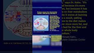 Robert Lustig:Sugar Is a Mitochondrial Toxin-Fructose, Making Up 50%, Is the Key Culprit #fattyliver