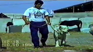 Туркмения Ашхабад 1992 Легендарный собаковод Какыш Кяризов Туркменский Волкодав Turkmendog alabai