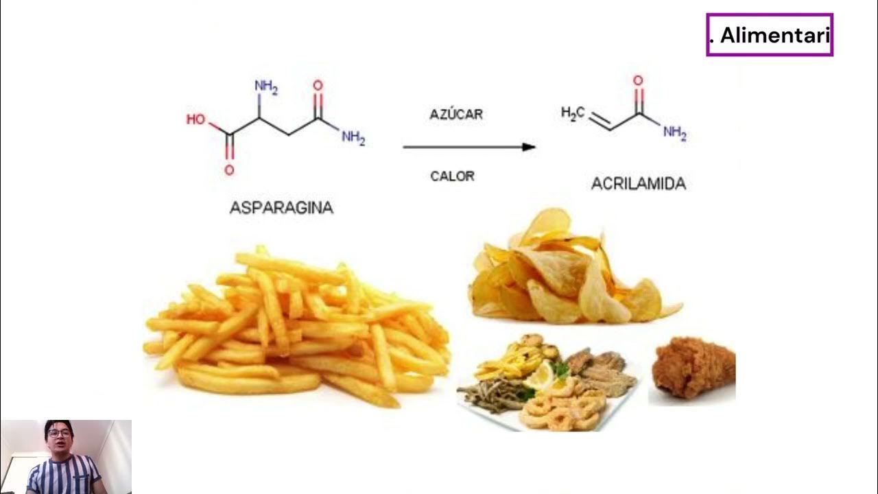 Enzimas inmovilizadas y sus aplicaciones YouTube
