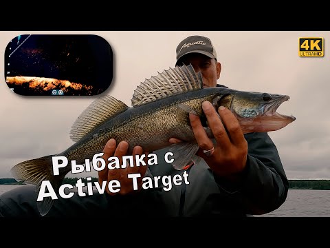 Рыбалка на судака с Lowrance Active Target