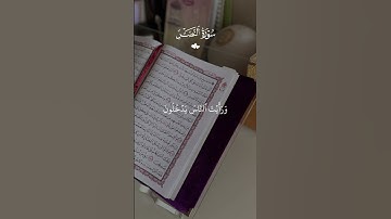 سورة النصر #قرآن #القرآن_الكريم