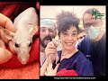 PIOMETRA EN RATITA.CIRUGÍA DE PIOMETRA A RATITA EN NUESTRO HOSPITAL VETERINARIO MEDITERRÁNEO