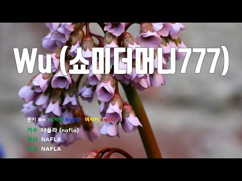 [은성 반주기] Wu(쇼미더머니777) - 나플라(nafla)