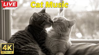 Music Calms Cat Anxiety Calm Your Cat in 10 Minutes  Music for Cats with cat purring sounds