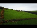 Southern Ireland Farmland