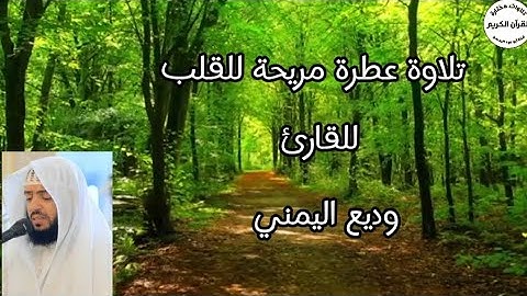 سورة الطلاق... تلاوة عطرة مريحة للقلب... للقارئ وديع اليمني