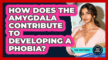 How Does The Amygdala Contribute To Developing A Phobia? - Face Your Phobias