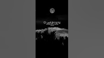 الشيخ محمد صديق المنشاوي |🎙سورة الشعراء 🌱بِسْــــــــــــــــــــــمِ اﷲِارَّحْمَنِ ارَّحِيم