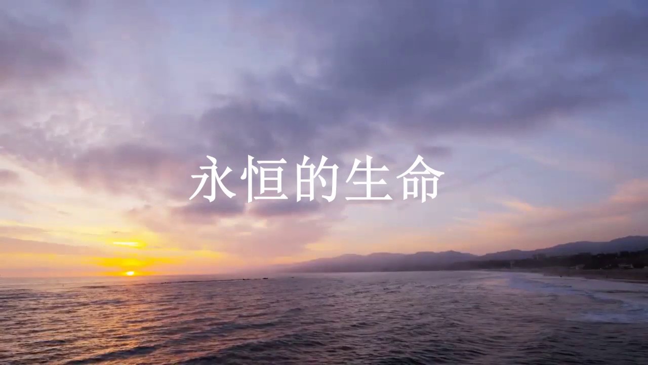 永恒不渝的爱之誓约