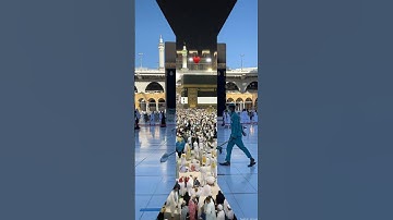 islamic world #سورة_الإخلاص #سورة_الإخلاص #ikhlas #quran #beautiful #islamicstatus #love