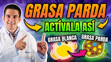 ¿Cómo activar las células de grasa parda para adelgazar?