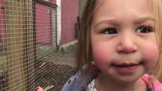 Pumpkin Picking at Conklin Farm in Montville, New Jersey and Lunch at Tavern 5!