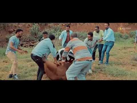 New Oromoo Musiq Caalaa Bultumee Lammiin Koo Duruu Gadaan Bula