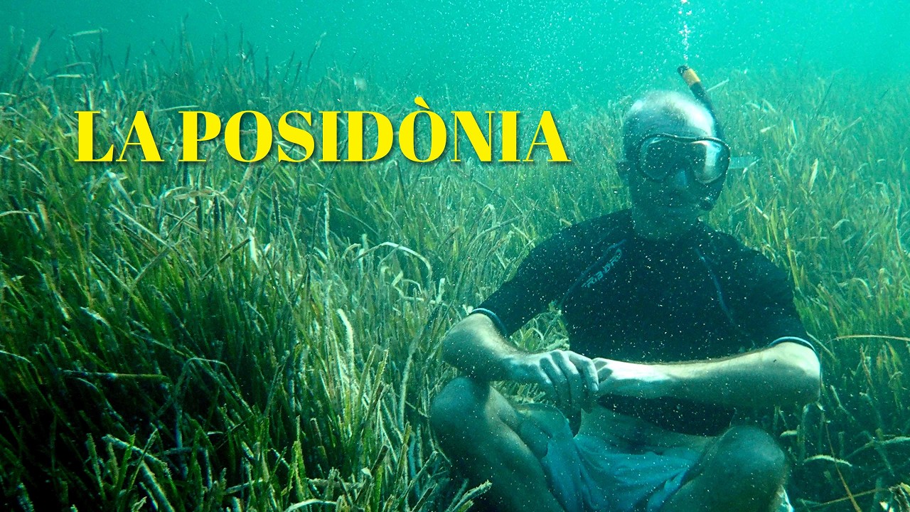 LES COSES QUE CREIXEN. Capítol 45. LA POSIDÒNIA