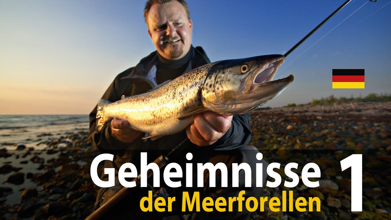 Totale Eskalation in glasklarem Wasser😱 Auf Meerforelle und Hornhecht!