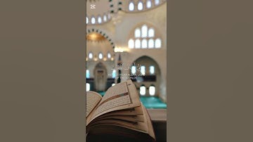 سورة المائدة {الآية 29} بصوت الشيخ عبد الله عيسى جناحي ❤️❤️