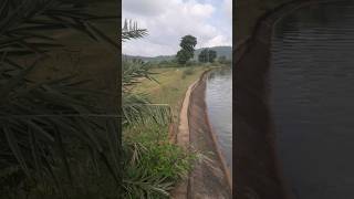 Udta Basal Sa Pucho Bhatia Nadiya Sa Pucho In Ko Pata H Mera Nam