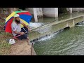 Fishing In Rain|Catching The Fishes In Nagarjuna Sagar Right Canal Water|Catching The Tilapia Fishes