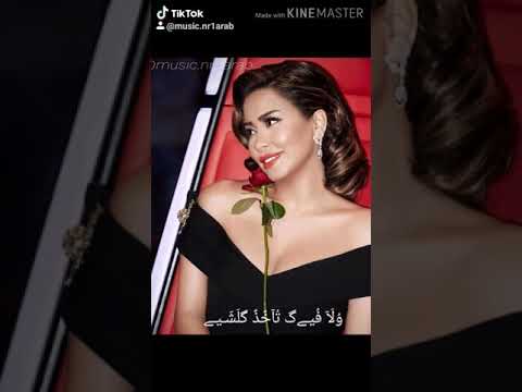 يا بتفكر يا بتحس حالات واتس