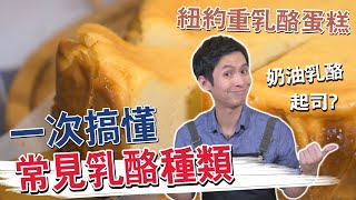 起司乳酪傻傻分不清？一次搞懂常見乳酪種類！輕鬆做出紐約重 ... 