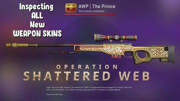 CS GO - "Operation Shattered Web" Inspecting ALL Weapon Skins | Content Update