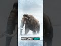 The Last Mammoth Survived Longer Than You Think! 🦣 #mammoth #animals #shorts #viral