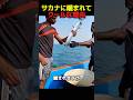 魚に噛まれてもクールな理由