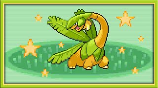 [LIVE] Shiny 9% Tropius after 22,608 REs in Pokémon Sapphire (DTQ #6)