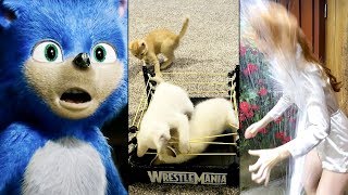 Ozzy Man Reviews Wtf Happened In 2019